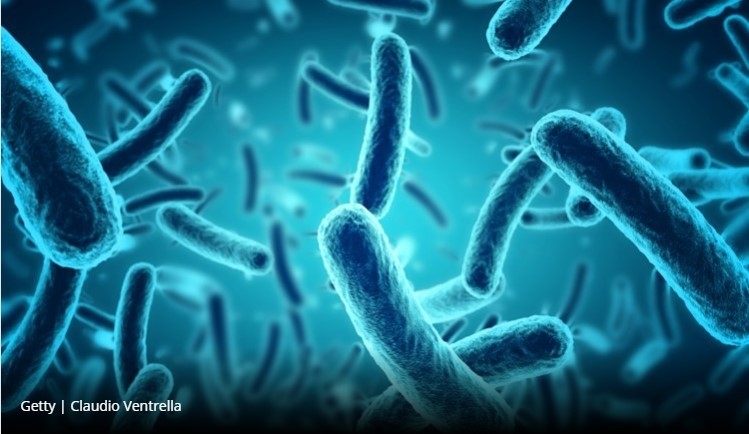 Scientists discover link between gut microbe and death rates